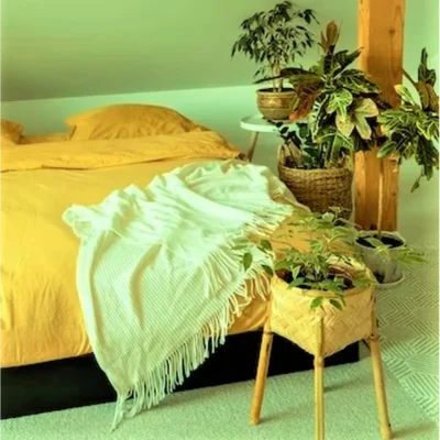 Cearceaf de pat Kotonia Home, 100% bumbac, Olandina color, 220x240 cm, galben - imagine 2
