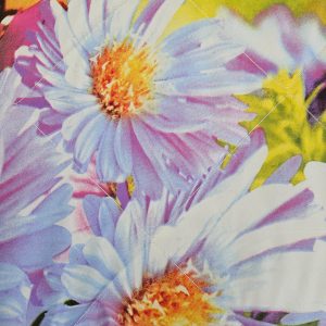 Pachet pilota 200x220 cm, 250 g/m2 + 2 perne 50x70 cm, decor floral 04 - imagine 3
